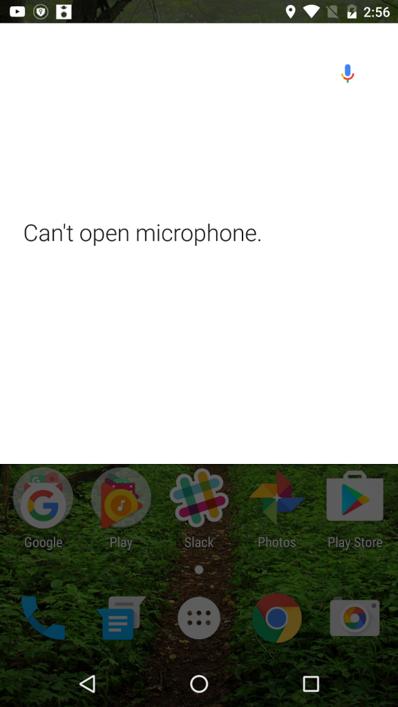 Can't Open Microphone Error